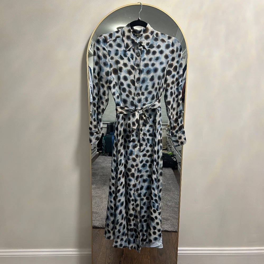 Massimo Dutti dress